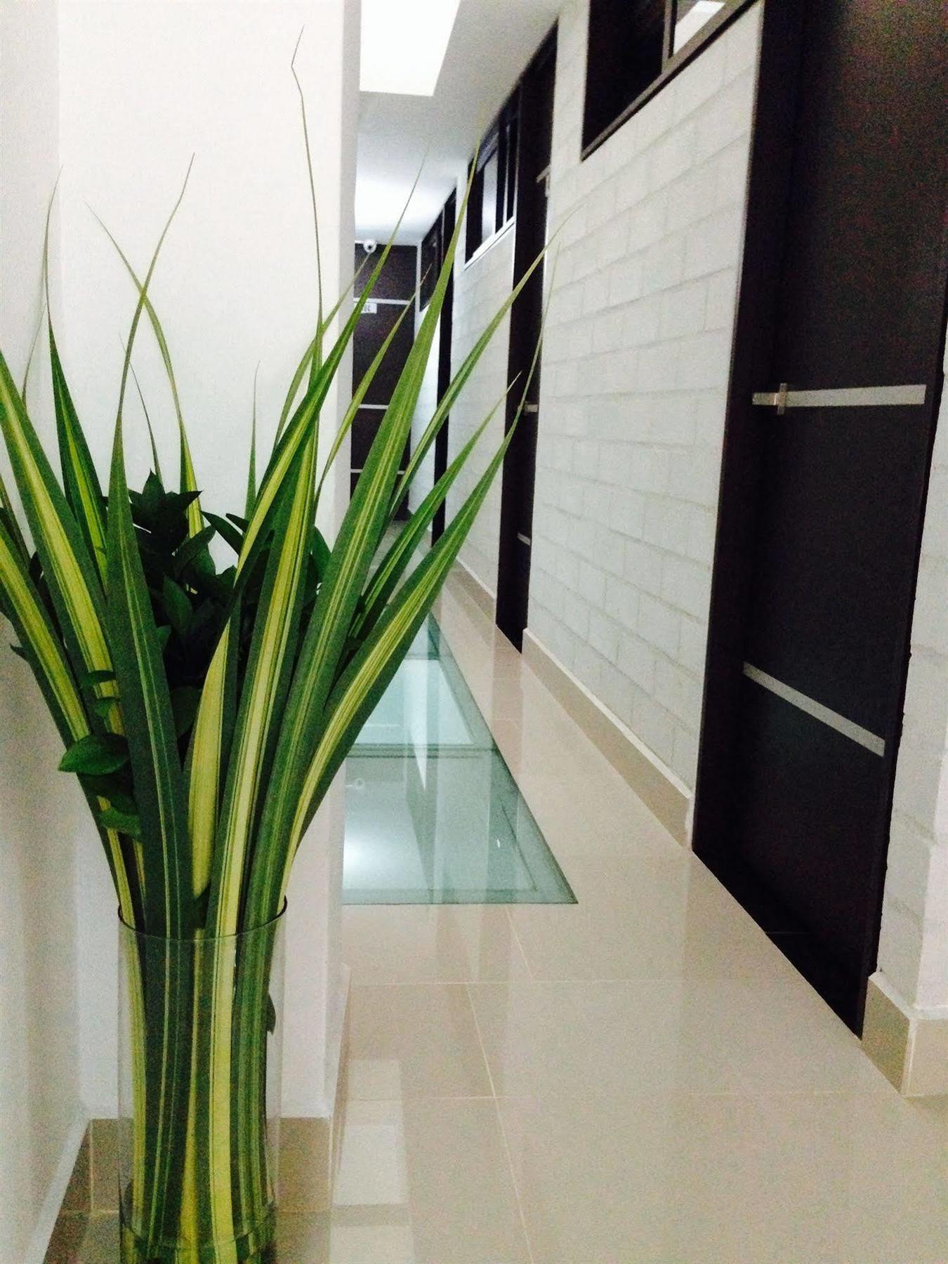 Ayenda 1254 Mi Colombia Hotel Medellin Ngoại thất bức ảnh